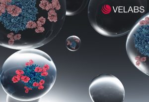 EMBL spinoff Velabs Therapeutics to help antibody discovery. IMAGE: Velabs Therapeutics