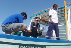 Benito-Gutiérrez searching for cephalochordates on board the dhoni boat