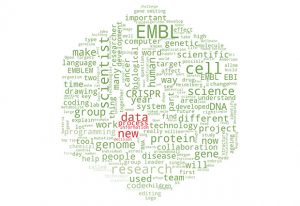 A word cloud displaying the most frequently used words in issue 93 of the EMBLetc. magazine