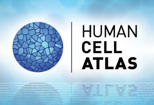 Human Cell Atlas logo and motif
