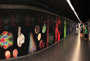 The mural commemorating the 500th anniversary of the death of Leonardo da Vinci. Ciutadella | Vila Olímpica station, Barcelona. PHOTO: James Sharpe/EMBL