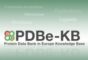 PDBe-KB logo