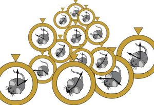 Artist's interpretation of the mouse epigenetic clock.